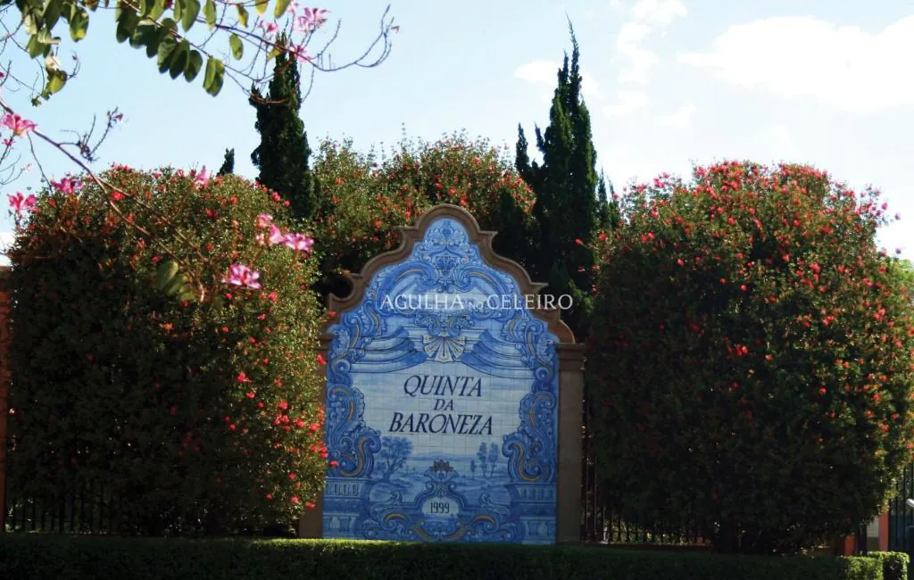 Venda/Quinta da Baroneza: Projeto Único! – CA1130