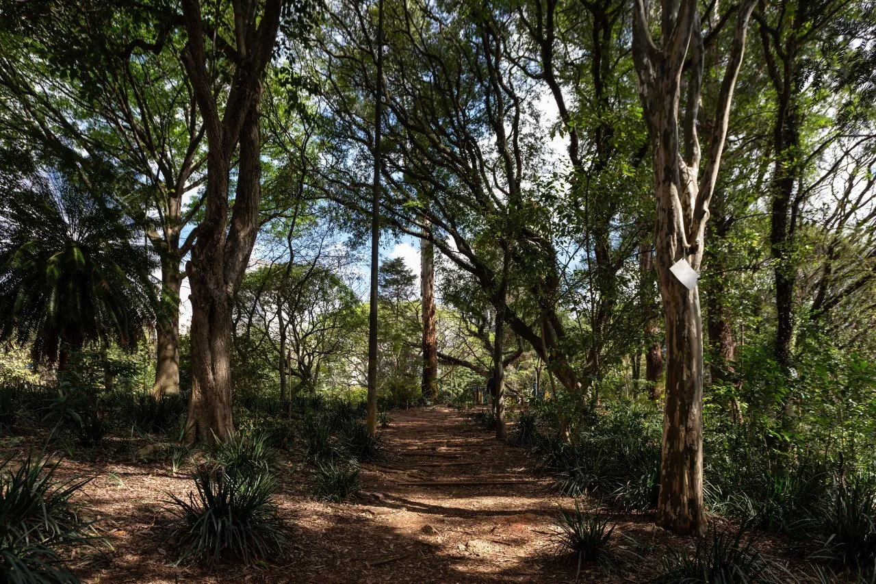 Apartamento Zarvos com Projeto de Gui Mattos para venda. – 13732 - imovel-33931-8