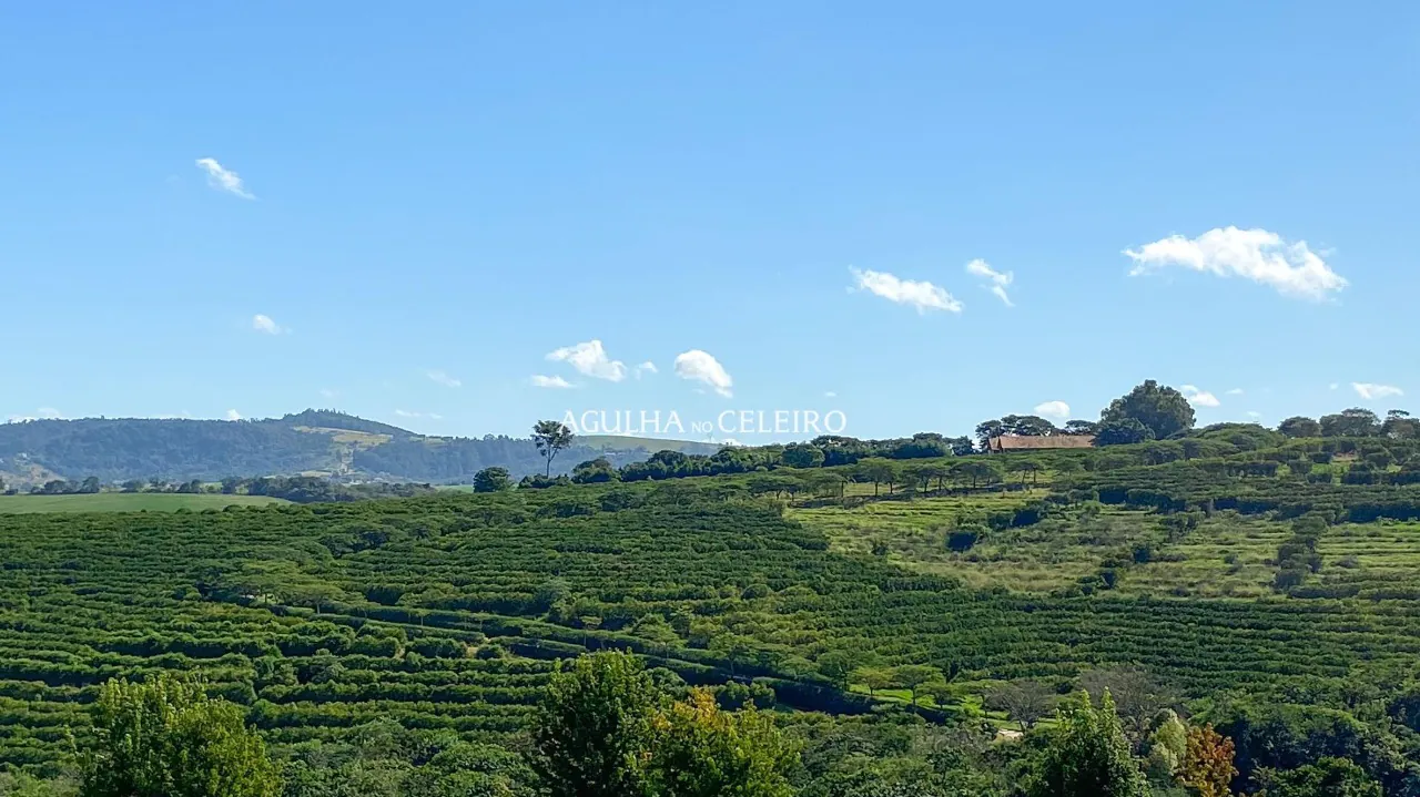 seja-bem-vindo-a-casa-jatoba-uma-joia-rara-a-venda-na-deslumbrante-quinta-da-baroneza-14428-22