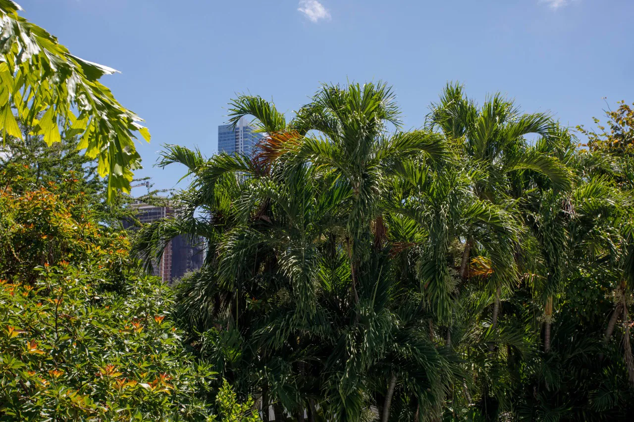 uma-verdadeira-obra-de-arte-para-venda-em-miami-no-parque-holleman-14639-33