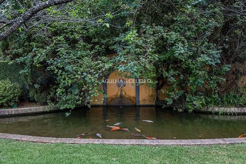 Venda/Jardim América: Casa década 40 modernizada e restaurada por arquiteto de renome Sig Bergamin – CA1082