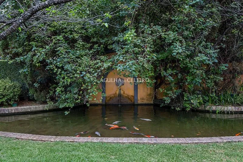 Venda/Jardim América: Casa década 40 modernizada e restaurada por arquiteto de renome Sig Bergamin – CA1082