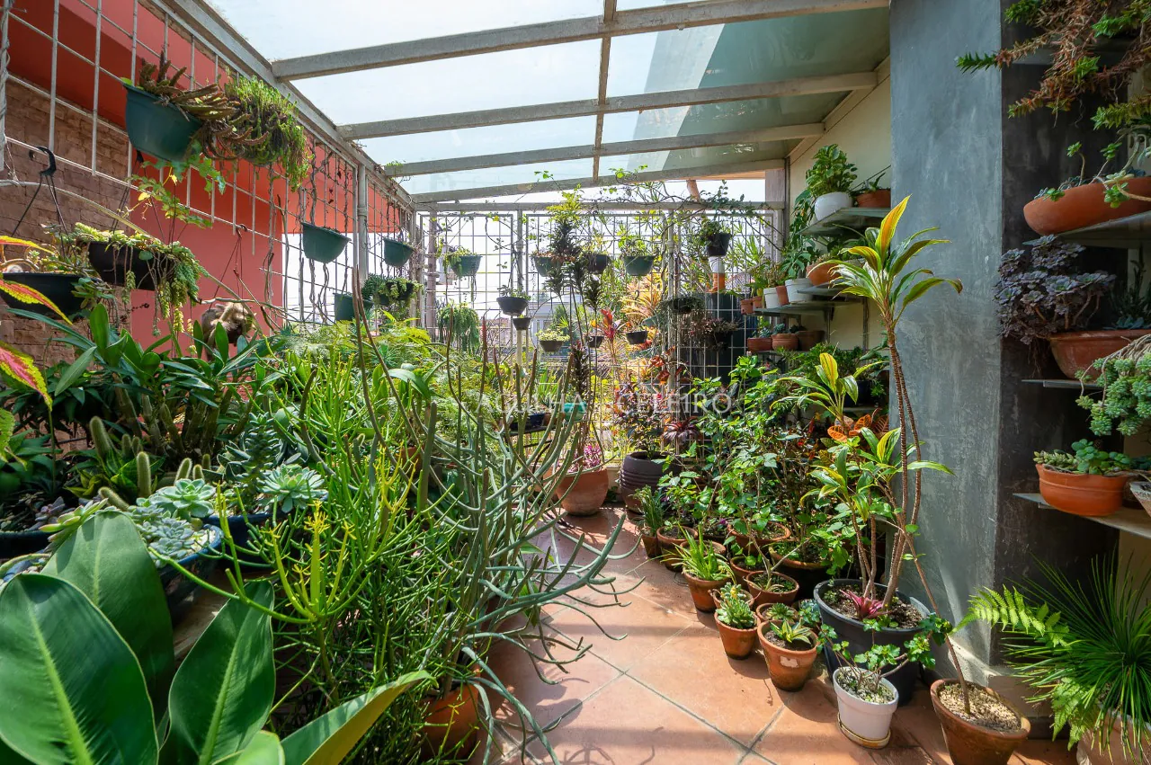 casa-a-venda-no-jardim-luzitania-17493-9