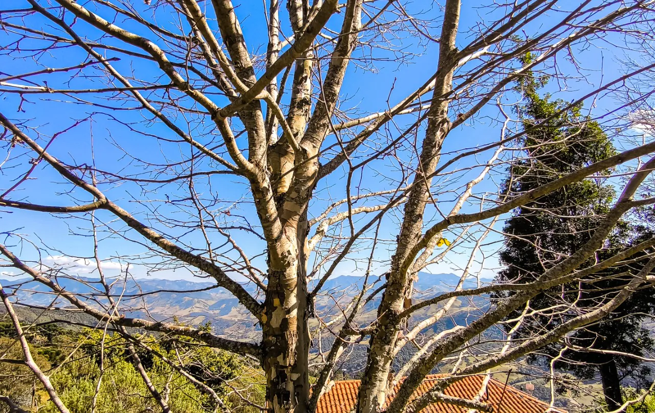 casa-com-projeto-super-charmoso-e-acolhedor-para-viver-dias-tranquilos-em-sao-bento-do-sapucai-17424-13