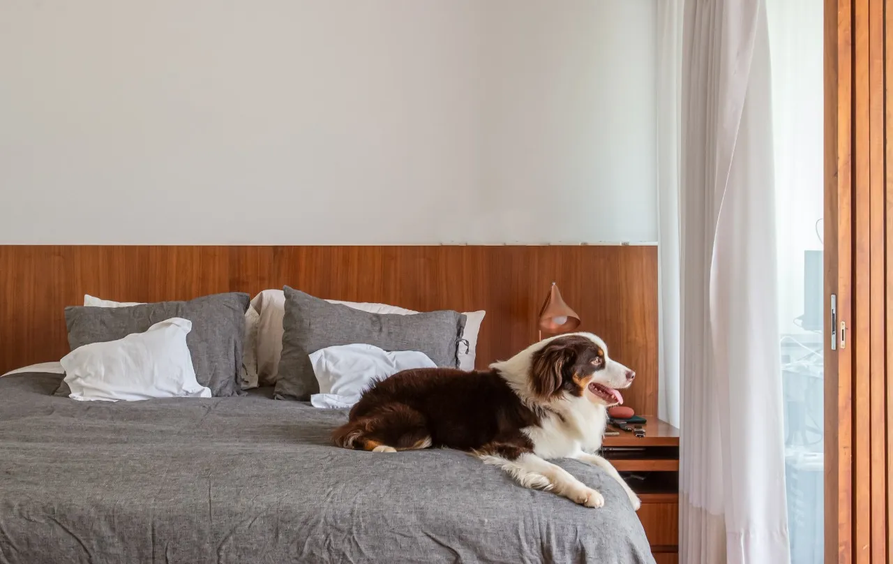 Casa reformada, com área externa linda e planta agradável para viver no melhor do Jardim Paulista. – 21370