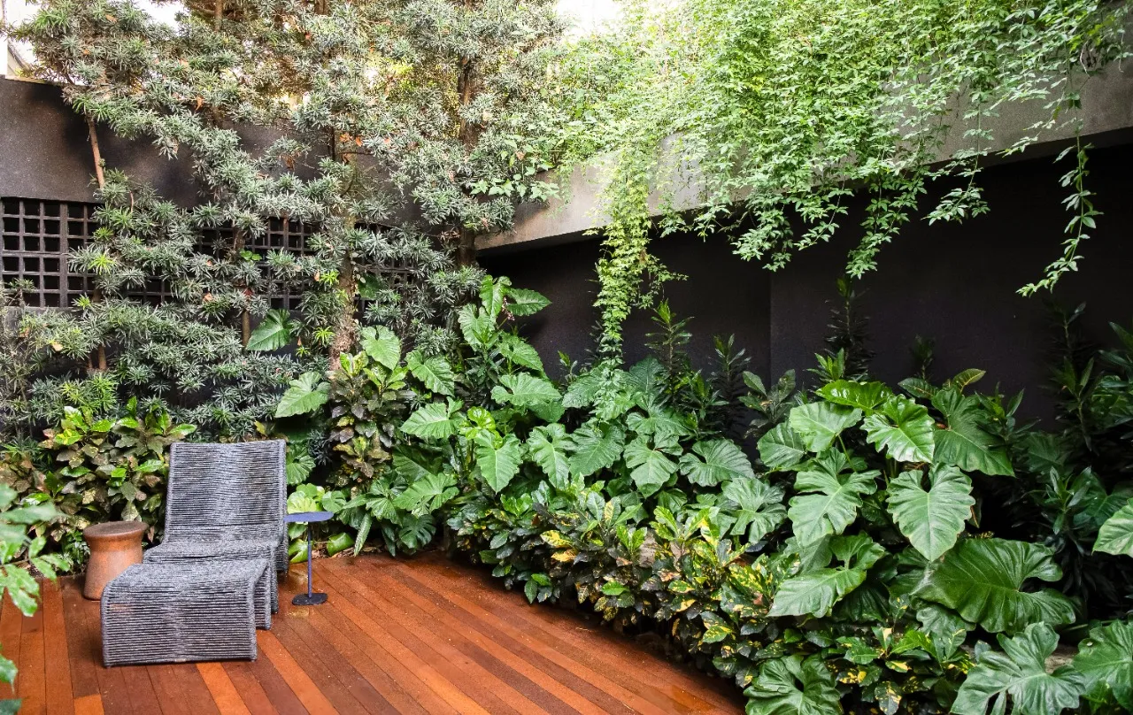 Casa contemporânea com projeto de Alex Haiashida, com jardim relaxante, na Vila Madalena. – 22472