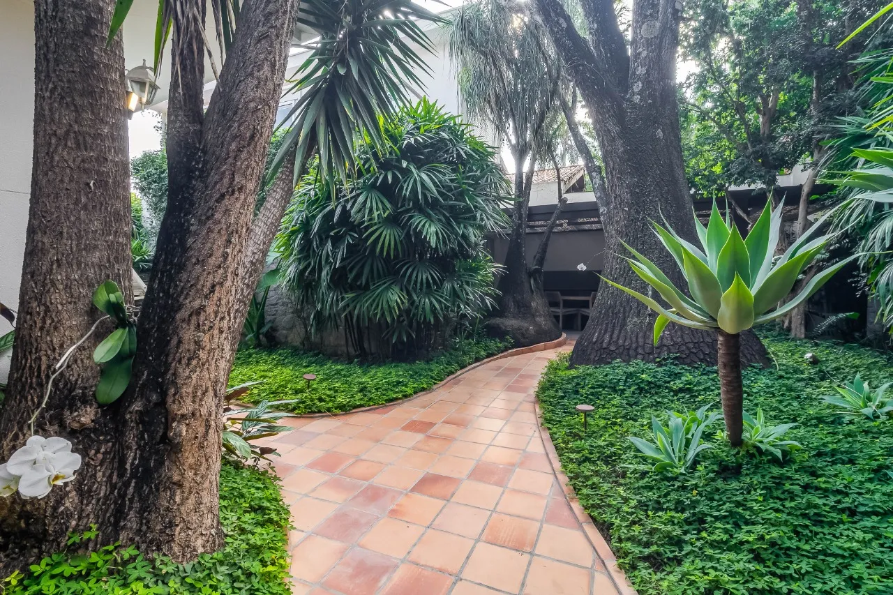 Casa térrea com jardim envolvente e atmosfera acolhedora em cada detalhe, na Vila Madalena. – 22886